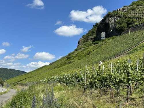 Mosel Radweg Etappe 4: Mehring - Piesport