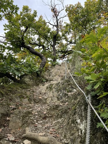 Saar-Hunsrück-Steig Etappe 22: Schmausemühle - Morshausen