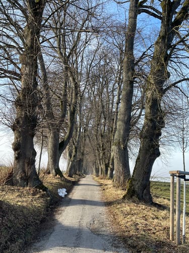 Kleine Trampelpfad-Runde in Marktoberdorf