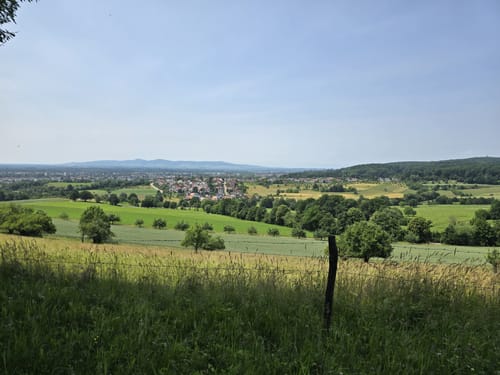 Rund um den Hornwald und die Hochburg