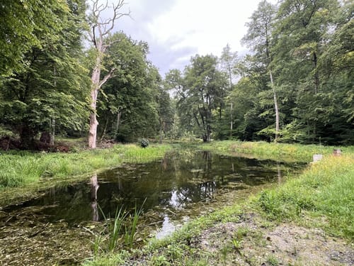 Mahdental - Bernhardsbach - Bärensee - Bärenschlössle
