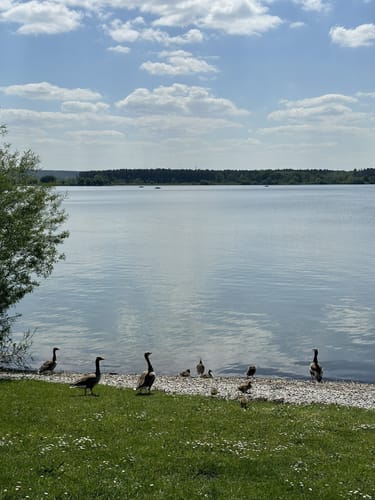 Altmühlsee Rundweg