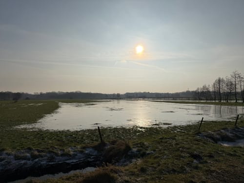 Naturlehrpfad Liether Moor - Liether Kalkgrube Rundweg