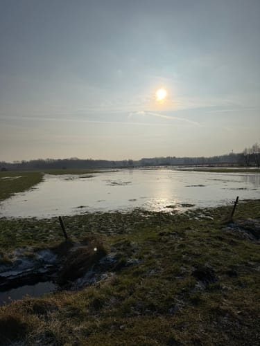 Naturlehrpfad Liether Moor - Liether Kalkgrube Rundweg