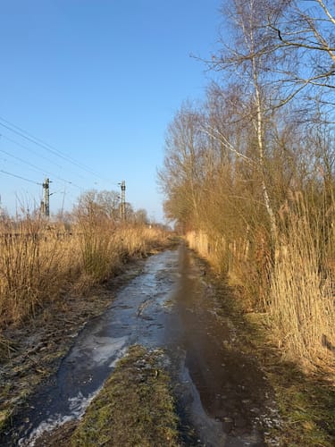 Naturlehrpfad Liether Moor - Liether Kalkgrube Rundweg