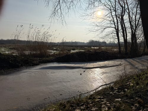 Naturlehrpfad Liether Moor - Liether Kalkgrube Rundweg