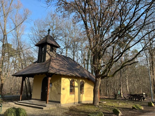 Entlang dem Ranschgraben zum Schifferstadter Süden
