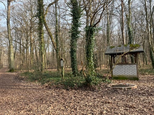 Entlang dem Ranschgraben zum Schifferstadter Süden