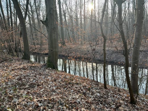 Entlang dem Ranschgraben zum Schifferstadter Süden