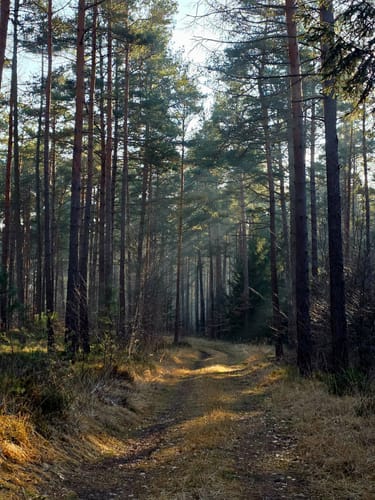 Röhn-Rundweg 3 Bad Salzschlirf
