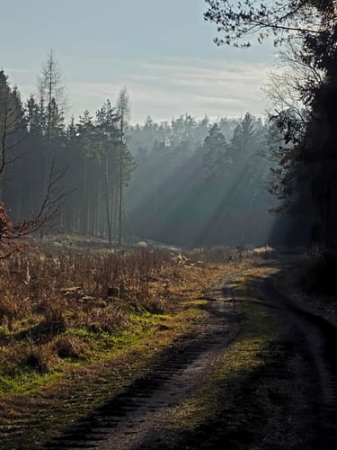 Röhn-Rundweg 3 Bad Salzschlirf