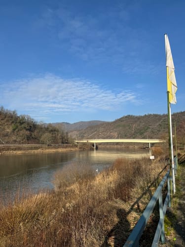 Beidseits der Mosel zwischen Neef und Senheim