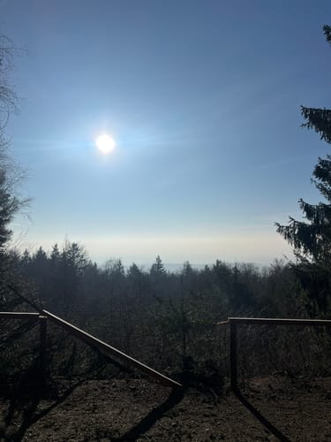 Rundwanderweg Vogel Platte