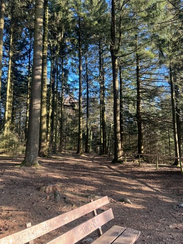 Rundwanderweg Vogel Platte