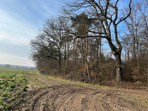 Rund um Kohlplattenschlag