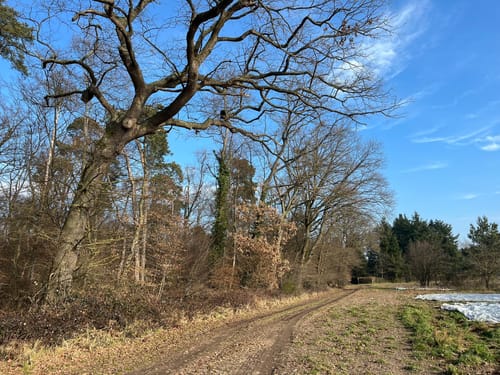 Rund um Kohlplattenschlag