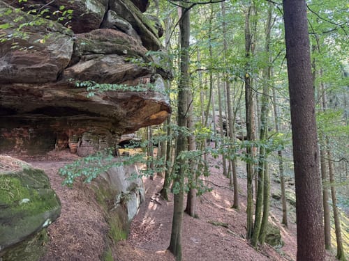 Kirkeler Felsenpfad