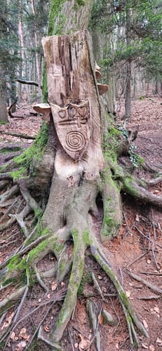 Kirkeler Tafeltour (Premiumwanderweg)