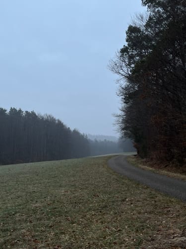 Rund um Langensteinbach