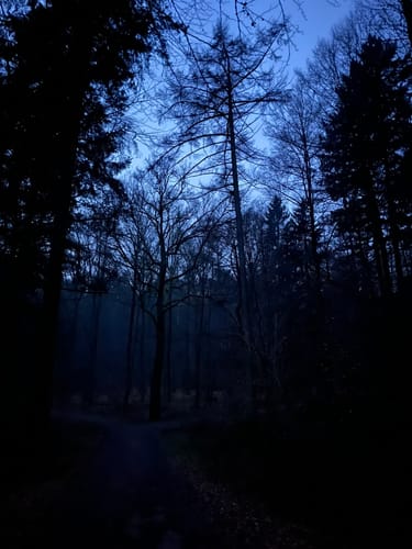 Rund um Langensteinbach