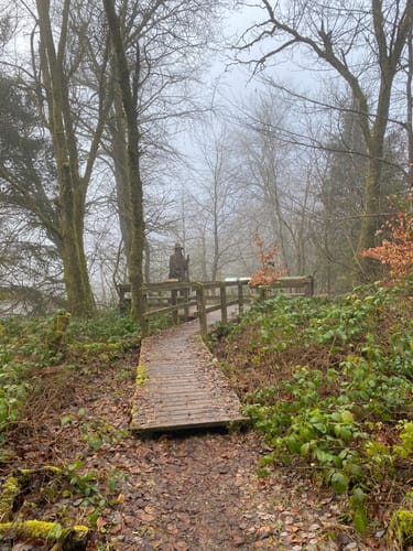 Moore-Pfad Schneifel (Premiumwanderweg)