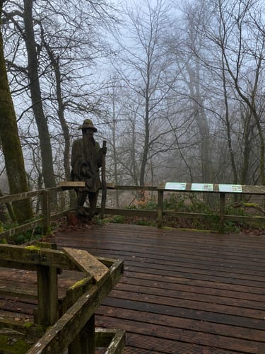 Moore-Pfad Schneifel (Premiumwanderweg)