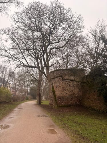 Durch die Innenstadt von Trier und entlang der Mosel