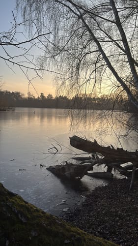 Lindensee ab Haßloch