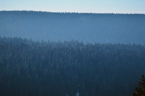 Schmücke - Hochmoor am Beerberg - Schneekopf