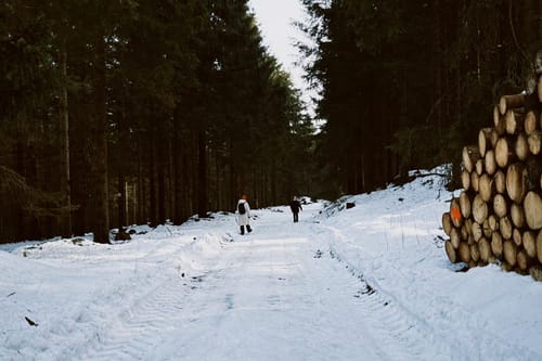 Schmücke - Hochmoor am Beerberg - Schneekopf