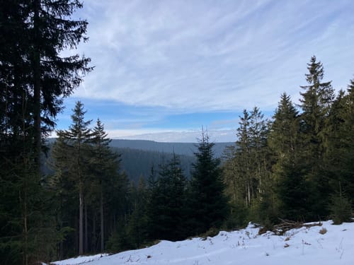 Schmücke - Hochmoor am Beerberg - Schneekopf