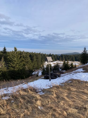 Schmücke - Hochmoor am Beerberg - Schneekopf