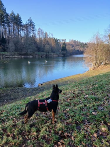 Hückeswagener Wasserweg