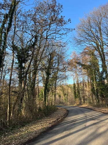 Mönchweg - Erlebnisweg Sieg