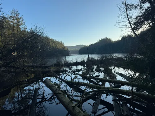 10 Best forest trails in Sooke | AllTrails