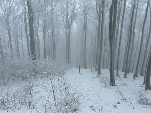 Wanderung um Jonsdorf