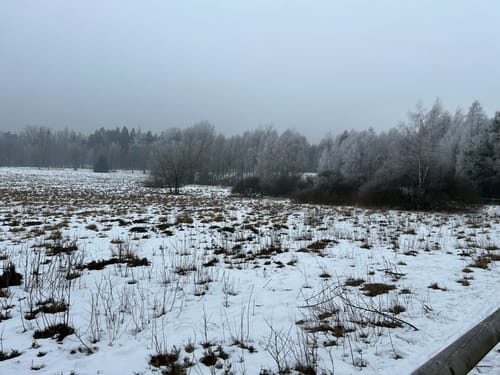 Wanderung um Jonsdorf