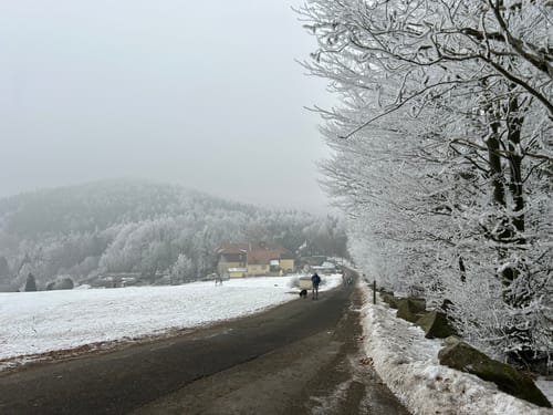 Wanderung um Jonsdorf