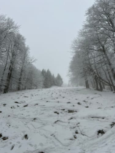 Wanderung um Jonsdorf