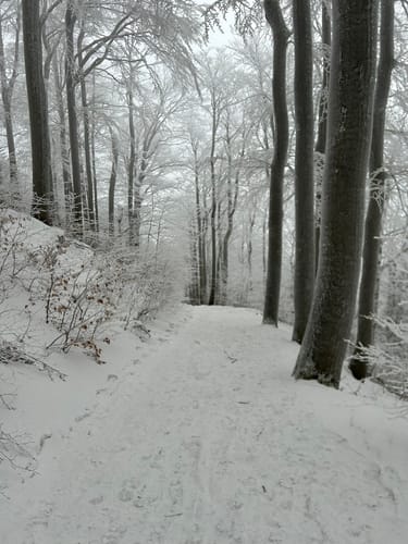 Wanderung um Jonsdorf