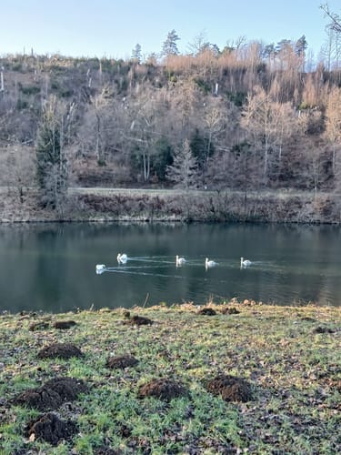 Hückeswagener Wasserweg