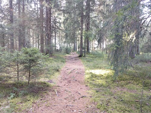 St. Georgener Heimatpfad