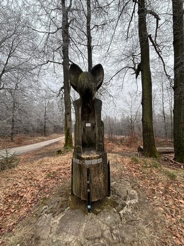Annaturm ab Kölnischfeld
