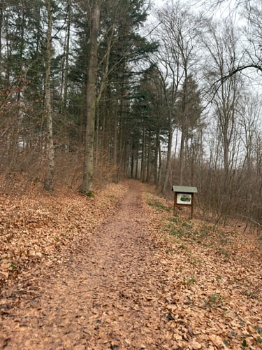 Oberbieber - Rengsdorf