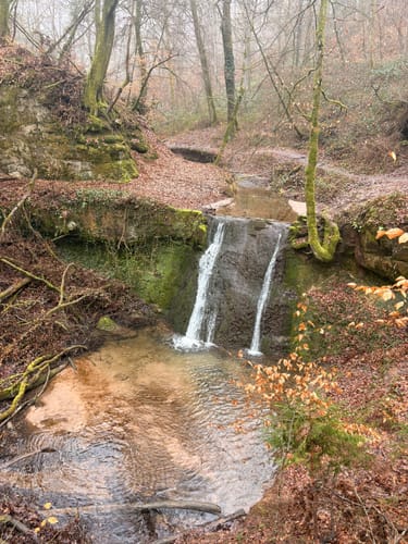 Trier Busental - Sirzenicher Wasserfall - Markusberg