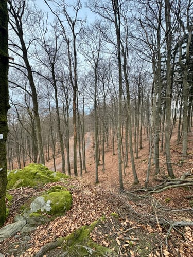 Großer Zacken und Weilsberg