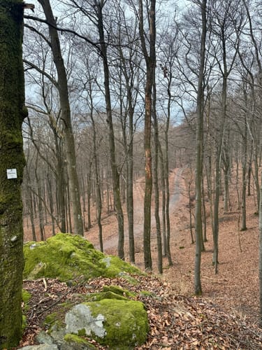 Großer Zacken und Weilsberg