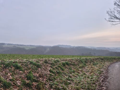 LZ12 - Rundwanderweg Vettelschoß