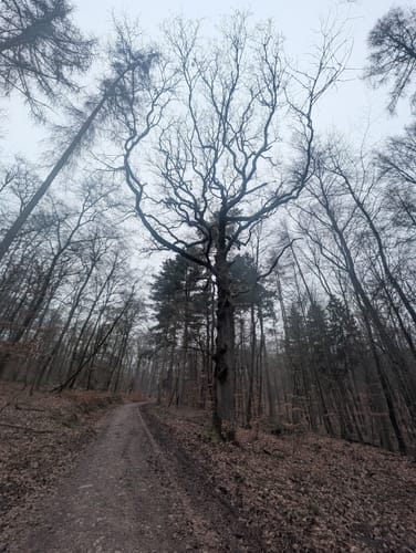 Bekond Rundweg