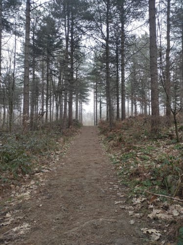 Kleine Runde in der Haardt